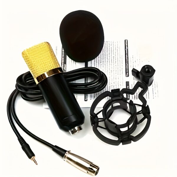 Condenser microphone. Suitable for live game singing. - Image 3