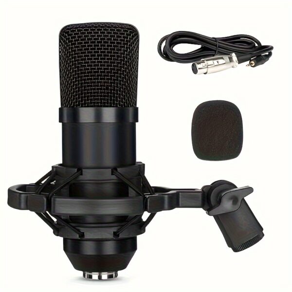 Condenser microphone. Suitable for live game singing.